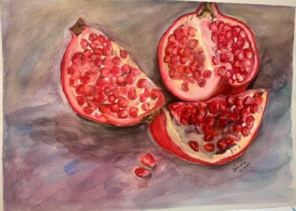 Fruit of Heaven: water color on paper